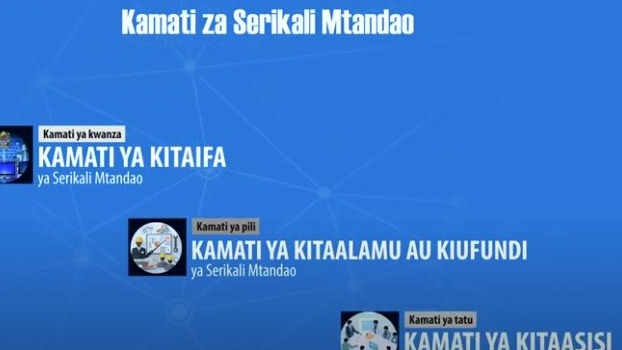 Kamati za Utekelezaji wa Serikali Mtanda...