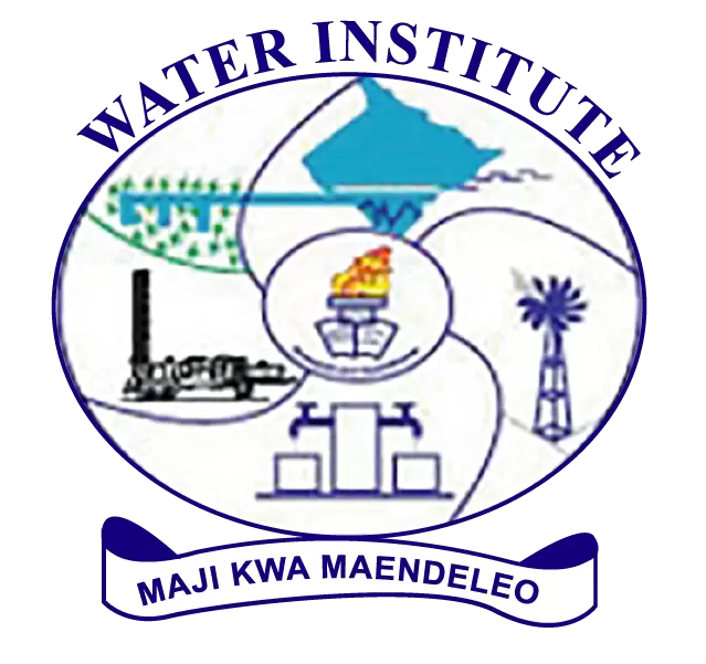 waterinstitute.ac.tz